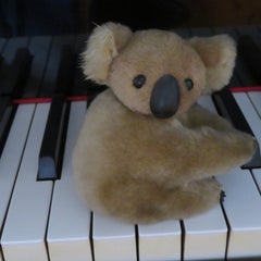 日野市南平のピアノ教室　お子さんから大人の方(全くの初めての方も)まで安心して通える教室のプロフィール