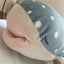 ジンベイnagi✨なぎ✨のサムネイル