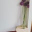 kassk.homeのサムネイル