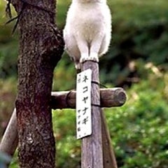 絵空事夢輔のプロフィール