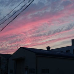 mille/ミルのプロフィール