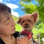 愛犬が元気な20歳を目指せる！　手作りわんこご飯で腸活 |岐阜のサムネイル