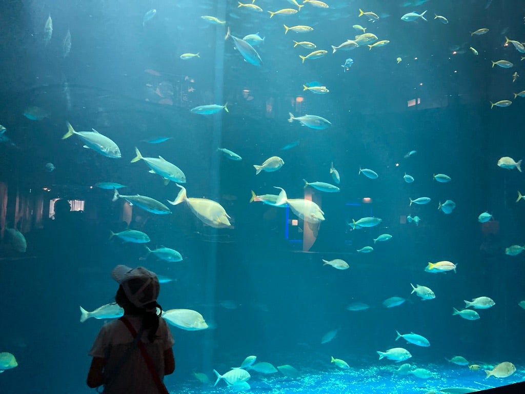 4. 適切な睡眠衛生を実践する