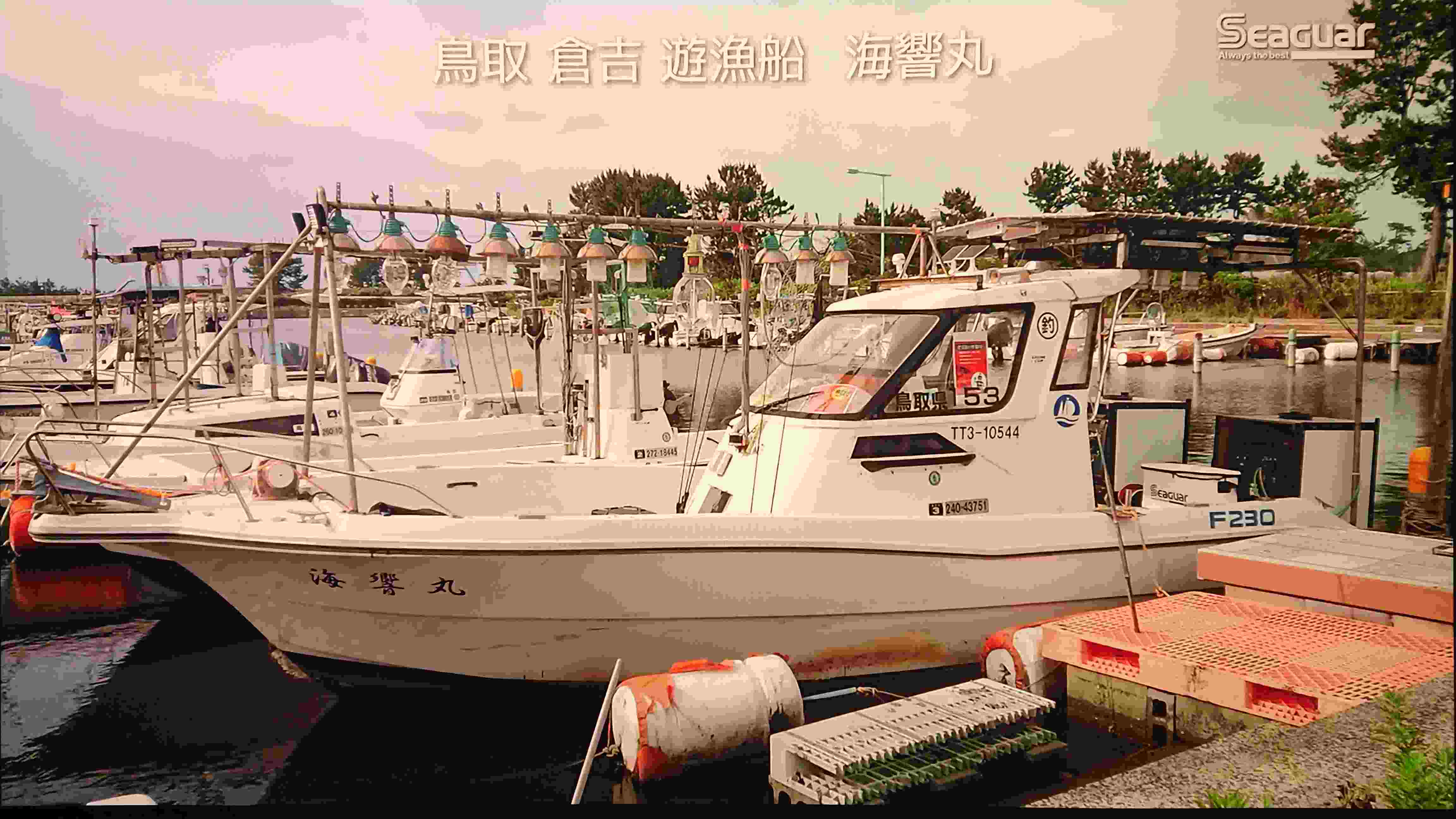 海響丸さんのプロフィールページ