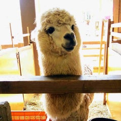ひよりのプロフィール