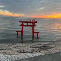 芽依のプロフィール