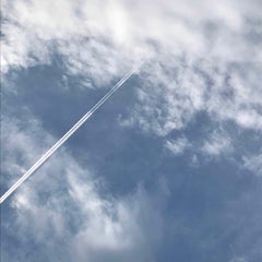 うりこのプロフィール