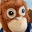 しゅふのサムネイル