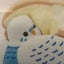 dovepoppoのサムネイル