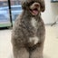 chunspetのサムネイル