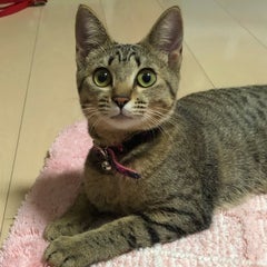 じがじさんのプロフィール