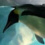 もみさん育児キロクのサムネイル