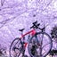 charinko-charinko0808のサムネイル
