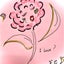 笑花のサムネイル