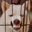 miki-blog-tのサムネイル