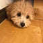 むぎころのサムネイル