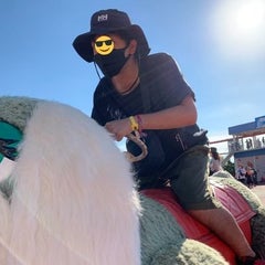 エディのプロフィール
