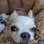 ブーケママのサムネイル