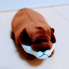 Sumaのプロフィール