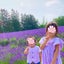 きなこのサムネイル