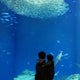 KEYmamaのおすすめのサムネイル