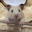 megurinのサムネイル