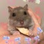 sのサムネイル