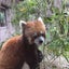 画像 アラフィフワーママajicoのそれなりな日々のユーザープロフィール画像