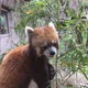 あじこの部屋のサムネイル