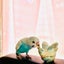 mitsuhaのサムネイル