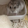 あーちゃんのプロフィール