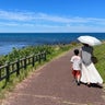 accoのプロフィール