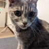 ひでさんのプロフィール