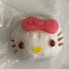 山崎明日美のプロフィール