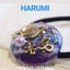 HARUMIのサムネイル