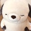 sana*のサムネイル