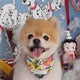 私のおすすめのサムネイル