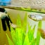 satoのサムネイル
