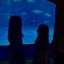 s3girlsのサムネイル