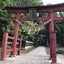 画像 不妊治療をしながら女の子産み分け⭐︎着床前診断⭐︎マイクロソートのユーザープロフィール画像