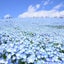 twinkle-little-star15のサムネイル