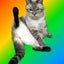 猫と子と多肉にっきのサムネイル