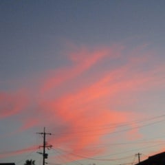 十三夜のプロフィール