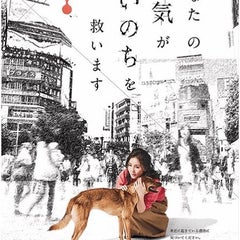 smilewan4 〜保護犬を家族に〜のプロフィール