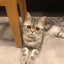 bsmctkbのサムネイル