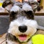 aiUeoのサムネイル