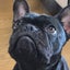 白髭の薄口ブログのサムネイル