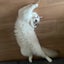 maruのサムネイル