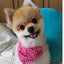 テテたんのサムネイル