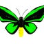 画像 柳花翠蝶の花畑のユーザープロフィール画像